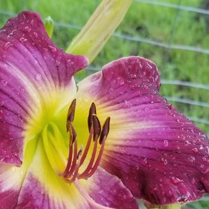 Meet your Posher, Kathryne